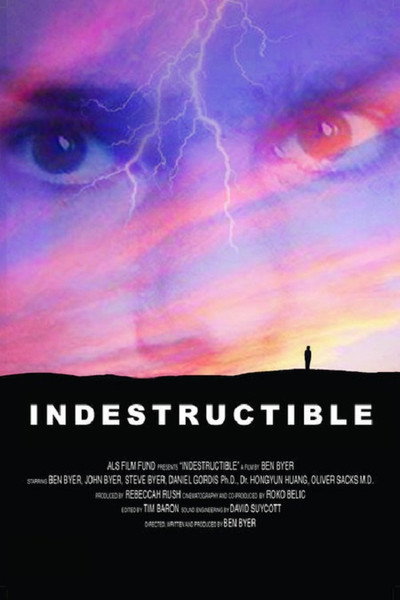 Póster de Indestructible