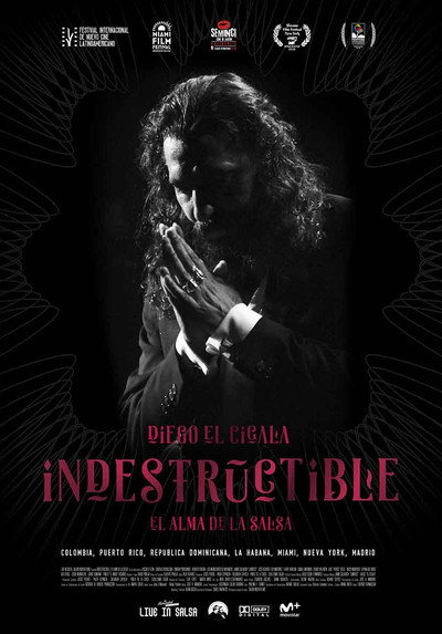Póster de Indestructible. El alma de la salsa