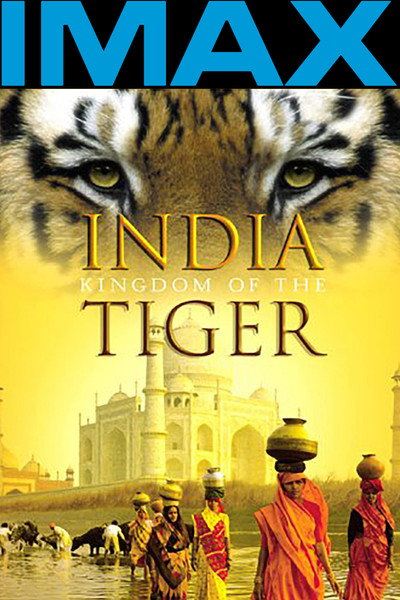 Póster de India: el reino del tigre