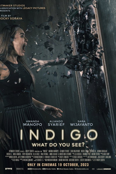 Póster de Indigo