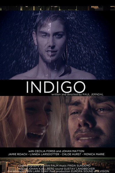 Póster de Indigo