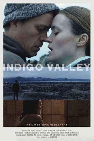 Póster de Indigo Valley