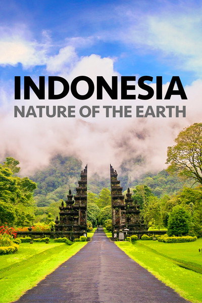 Póster de Indonesia Nature of the Earth