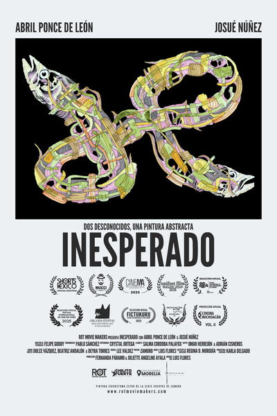 Póster de Inesperado