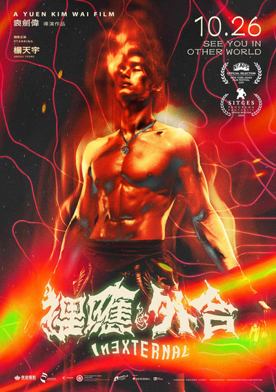 Póster de Inexternal
