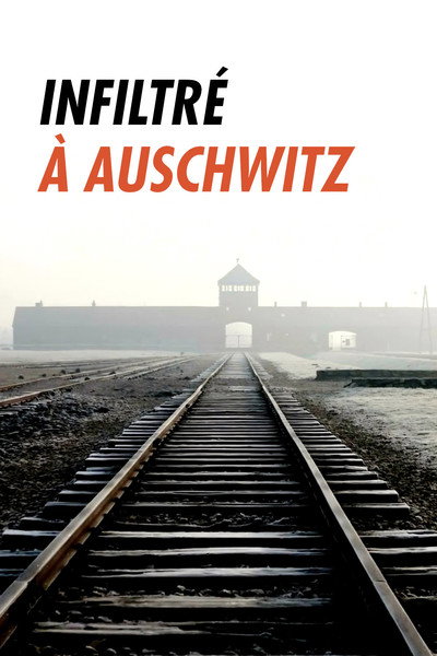 Póster de Infiltré à Auschwitz