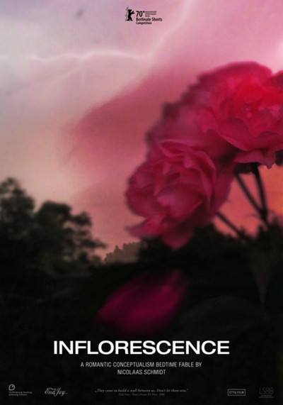 Póster de Inflorescence