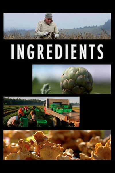 Póster de Ingredients