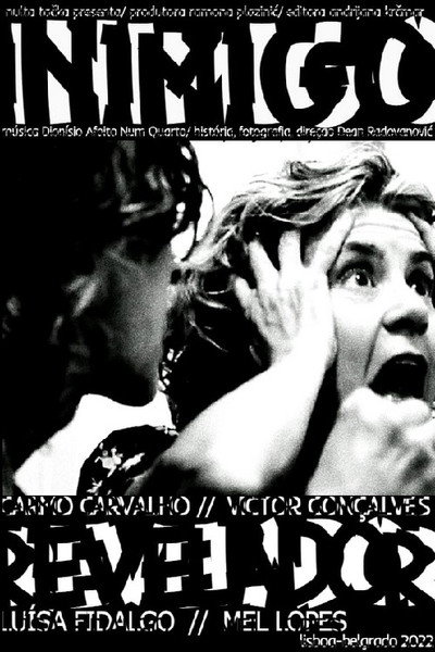Póster de Inimigo Revelador