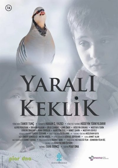 Póster de Injured Partridge