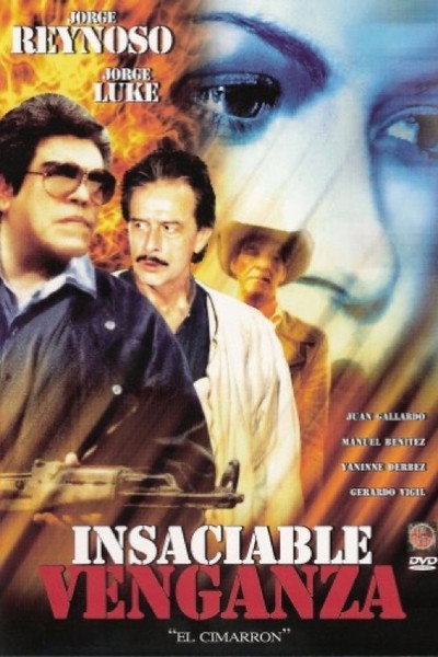 Póster de Insaciable venganza