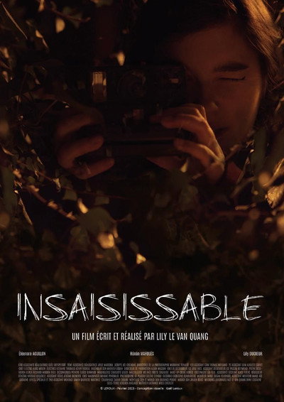 Póster de Insaisissable