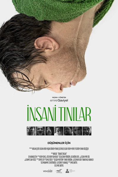 Póster de Insani Tinilar