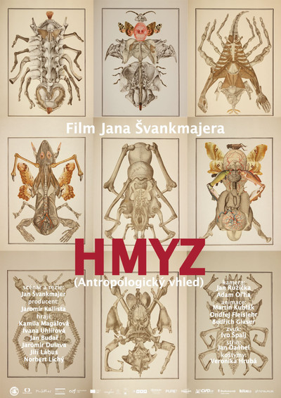Póster de Insect