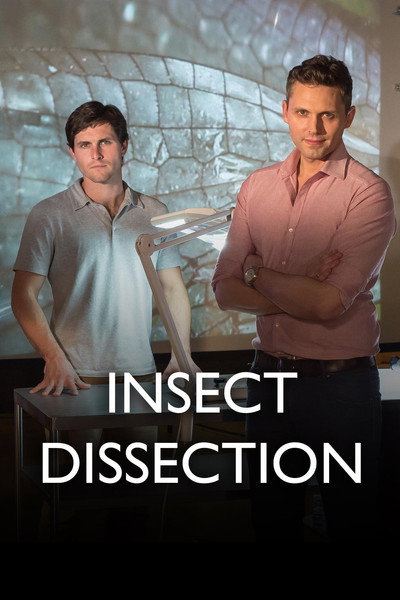 Póster de Insect Dissection: How Insects Work