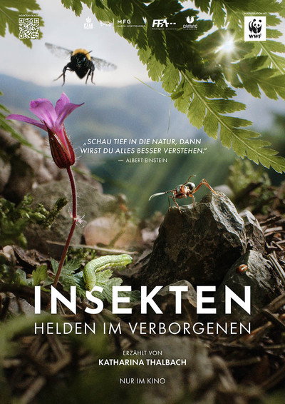Póster de Insekten - Helden im Verborgenen