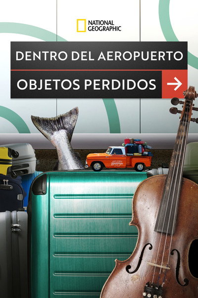 Póster de Inside Airport Lost & Found