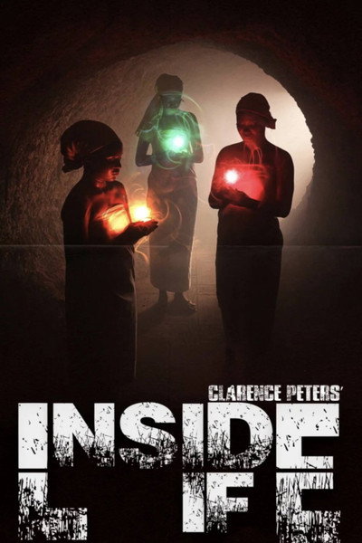Póster de Inside Life