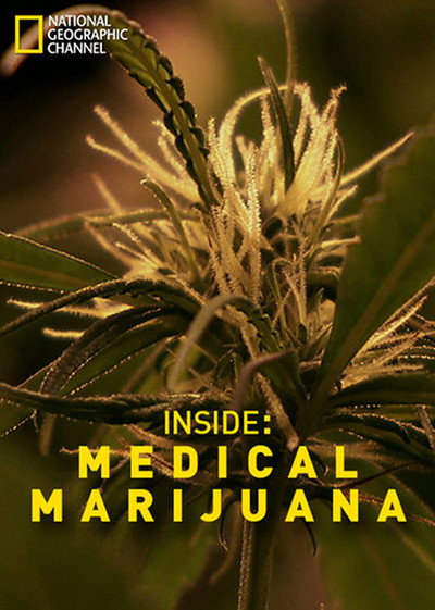 Póster de Inside: Medical Marijuana