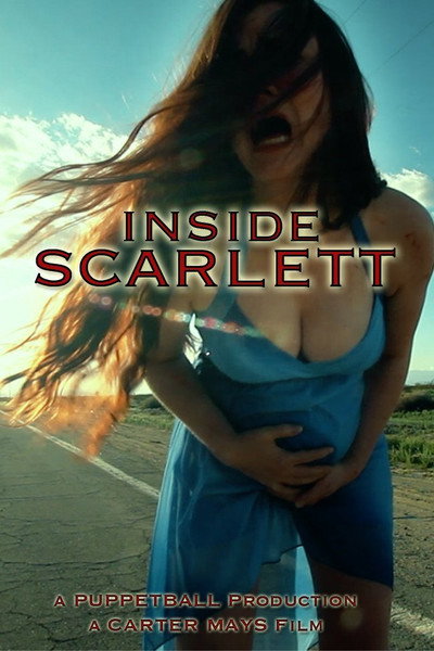 Póster de Inside Scarlett