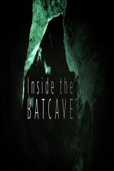 Póster de Inside the Bat Cave