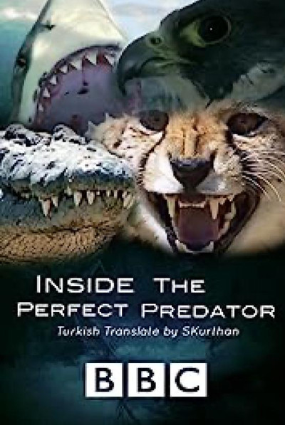 Póster de Inside the Perfect Predator