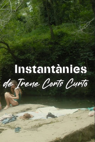 Póster de Instantánies