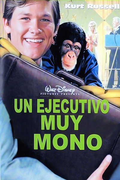 Póster de Instint executiu