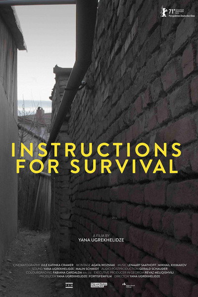 Póster de Instructions for Survival