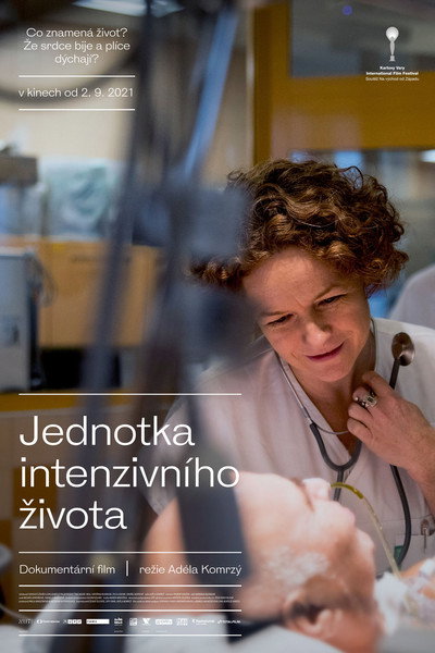 Póster de Intensive Life Unit