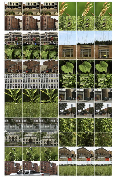 Póster de Interactions 18: Bloomington-Normal, 1
