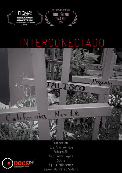 Póster de Interconectado