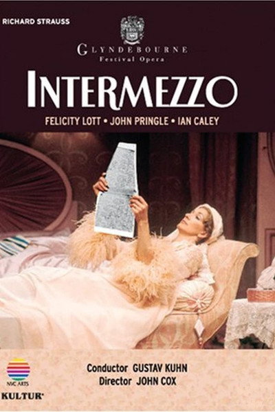 Póster de Intermezzo
