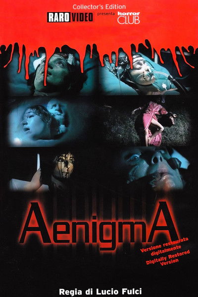 Póster de Internado diabólico (Aenigma)