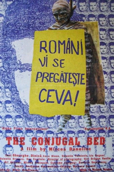 Póster de Intimate Bed