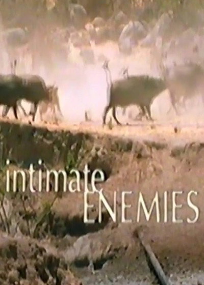 Póster de Intimate Enemies