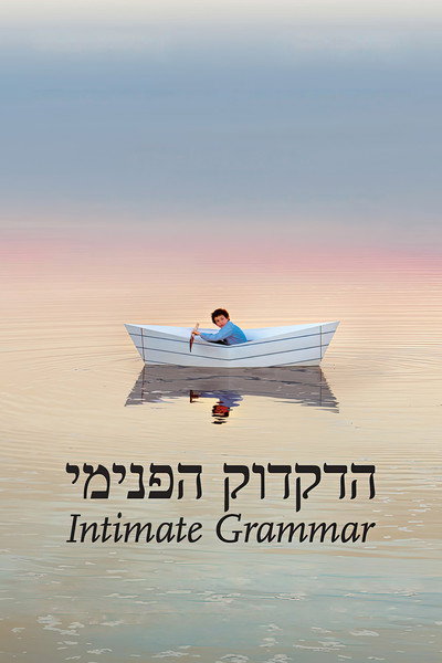 Póster de Intimate Grammar