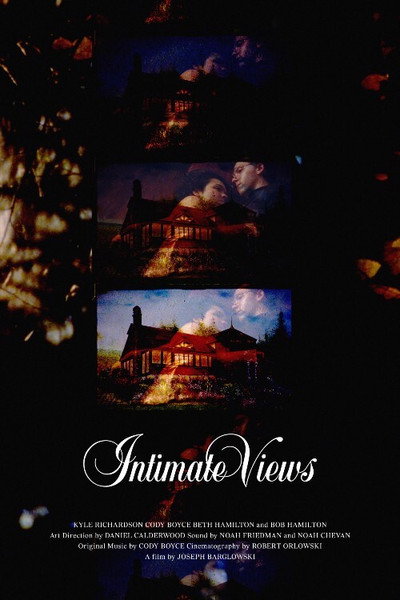 Póster de Intimate Views