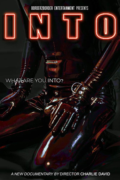 Póster de Into