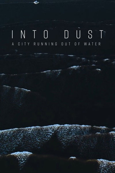Póster de Into Dust