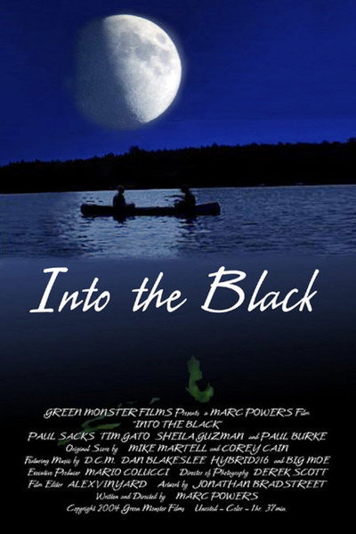 Póster de Into the Black