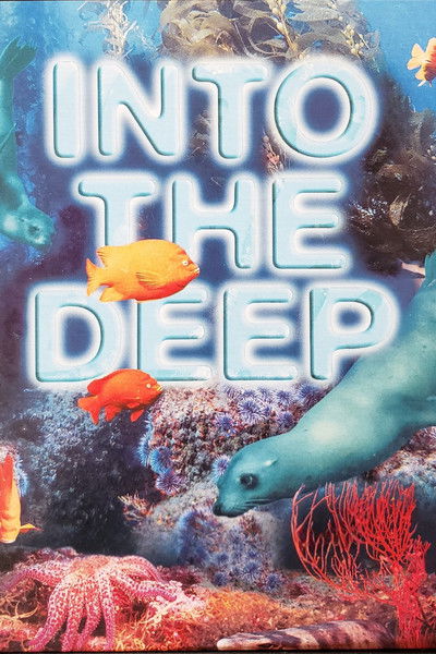 Póster de Into the Deep