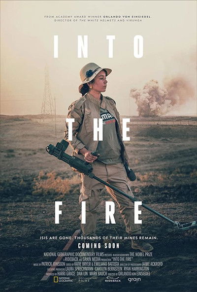 Póster de Into the Fire