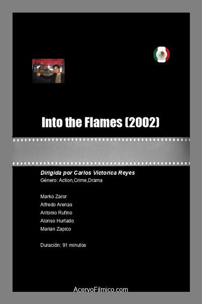 Póster de Into the Flames