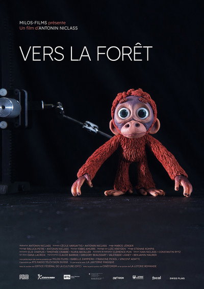 Póster de Into the forest