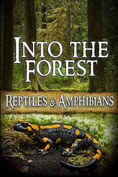 Póster de Into the Forest: Reptiles & Amphibians