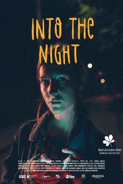 Póster de Into the Night