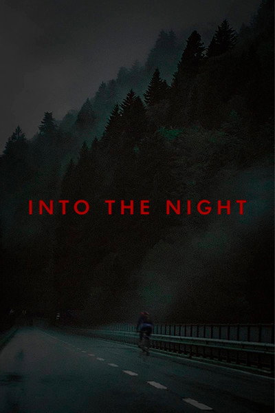 Póster de Into the Night