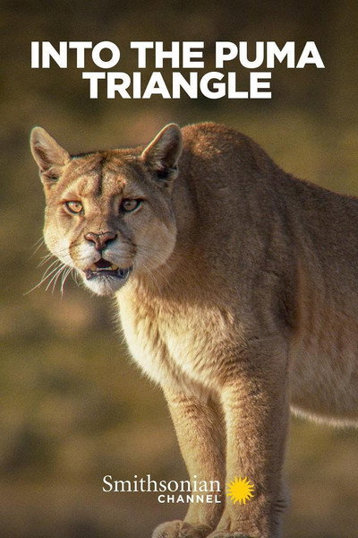 Póster de Into the Puma Triangle