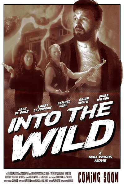 Póster de Into the Wild